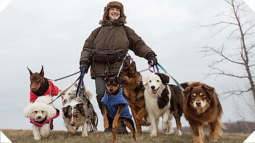 Absturz ins Leben Bild 2