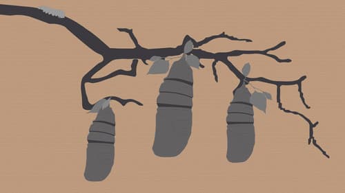 Reel #1: Surfing with Butterflies Bild 1