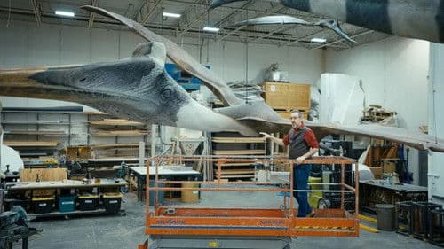 Le rêve de Léonard : Les secrets du vol dans la nature Bild 1