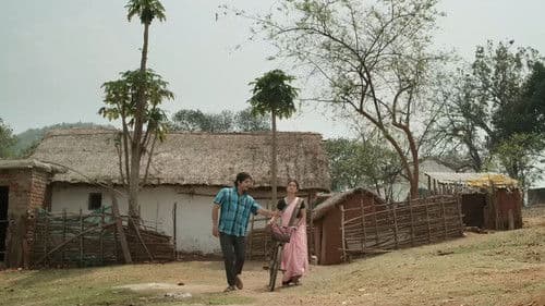 ପାବାର୍ Bild 7