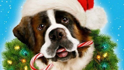 Beethovens abenteuerliche Weihnachten Bild 4