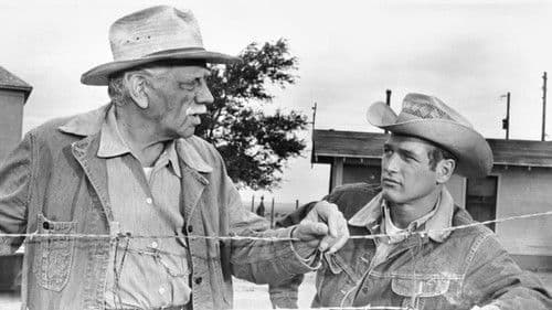 Der Wildeste unter Tausend Bild 8