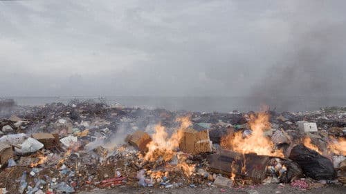 Matter Out of Place Bild 3