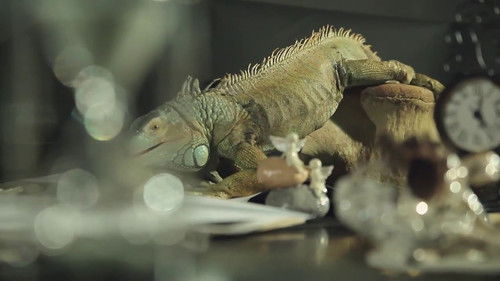 Кто будет моим мужем? Bild 1