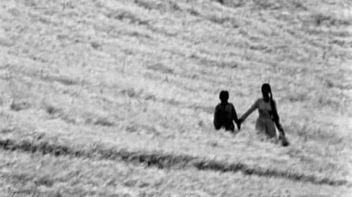 Sehnsucht nach Djamila Bild 3