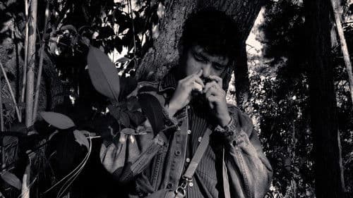 Seu Avô Também Fazia Sexo Gay Bild 3