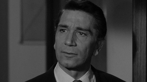 Hyänen der Straße Bild 6