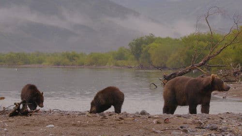 Wild Edens: Russia Bild 1