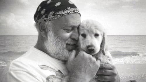 A Letter to True Bild 1