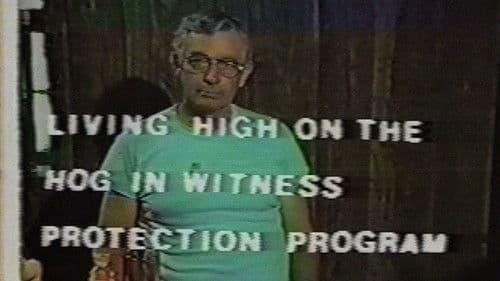 Tales from the Quadead Zone Bild 3