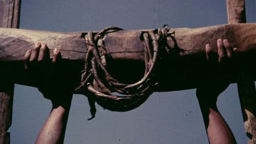 Carro de Bois Bild 4