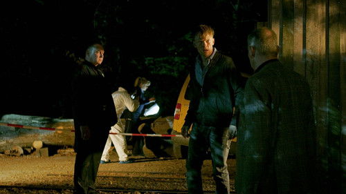 Im Nachtlicht Bild 5