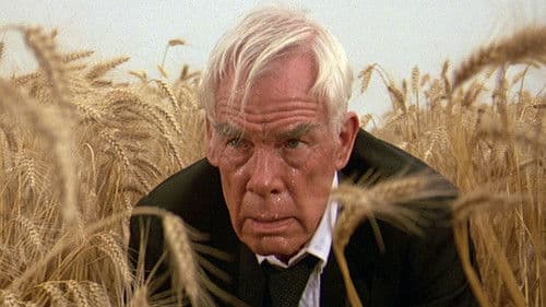 Dog Day - Ein Mann rennt um sein Leben Bild 4