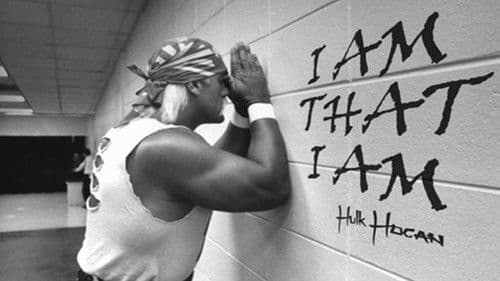 Finding Hulk Hogan Bild 2