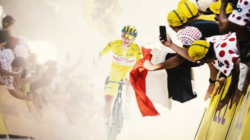 Tour de France: Im Hauptfeld Bild 3