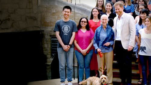 Jane Goodall: Hoffnung Bild 4