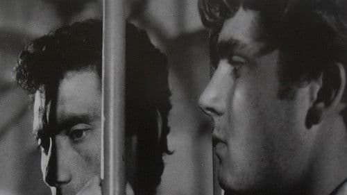 Prangasız Mahkumlar Bild 3