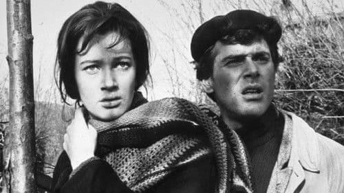 Un giorno da leoni Bild 1