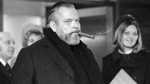 Searching for Orson Bild 1