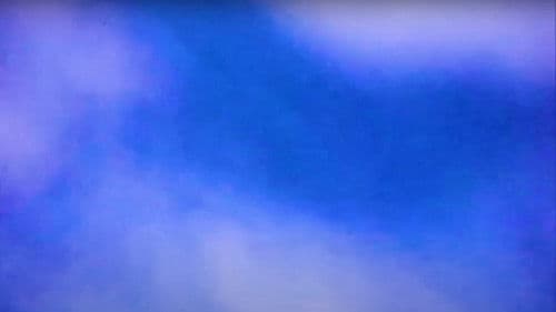 Wind in the Trees Bild 1