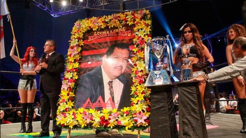 AAA Héroes Inmortales XII Bild 1