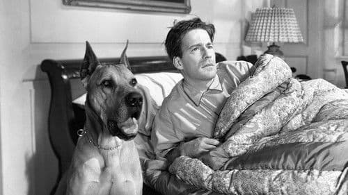 …und der Himmel lacht dazu Bild 3