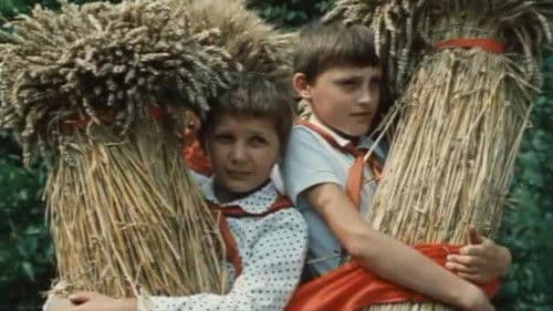 Найди свой дом Bild 1