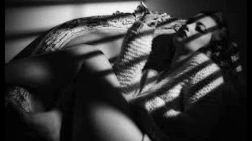 Film Noir: Bringing Darkness to Light Bild 1