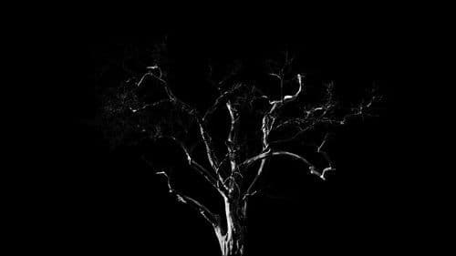 Dreams, Confessions and The End Of The World Bild 2