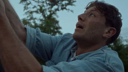 DARIO - How To Not Change The World Bild 6