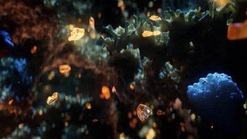 Der schwarze Diamant Bild 6