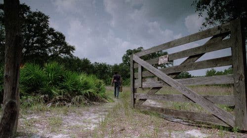 The Enchanted Bild 1