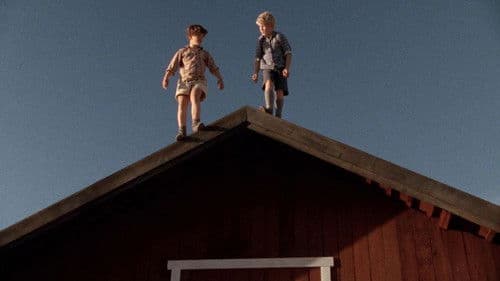 Wer springt am höchsten? Bild 5