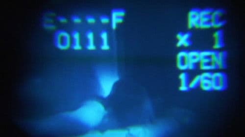 We Must Remain the Wildhearted Outsiders Bild 2