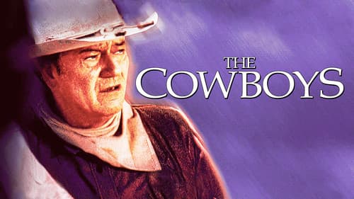 Die Cowboys Bild 7