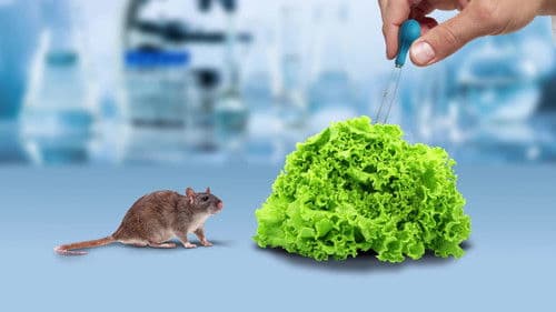 The Weight of Chains 3 Bild 2