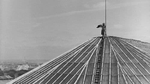 Der schöne Mai Bild 1