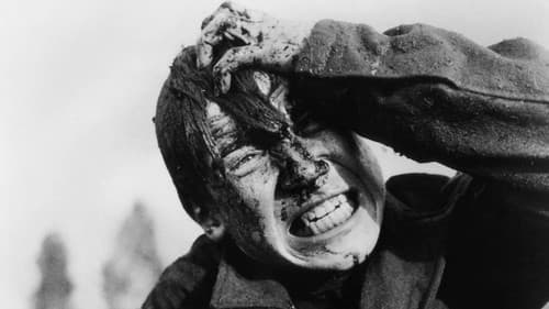 Komm und sieh Bild 7