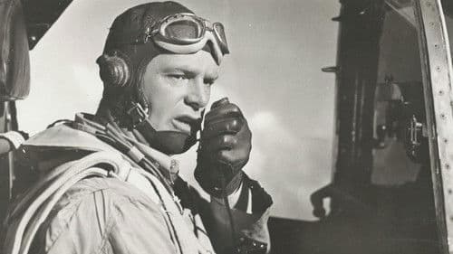 Sturmgeschwader Komet Bild 1