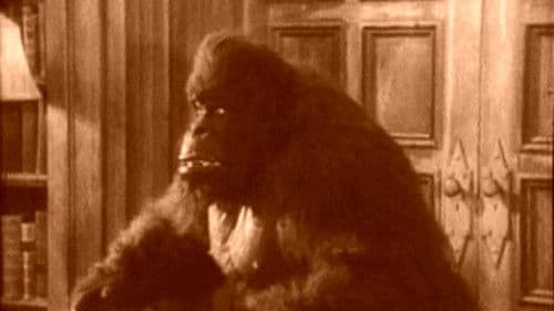 House of Mystery Bild 1