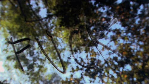 Ich und Du und Alle, die wir kennen Bild 8