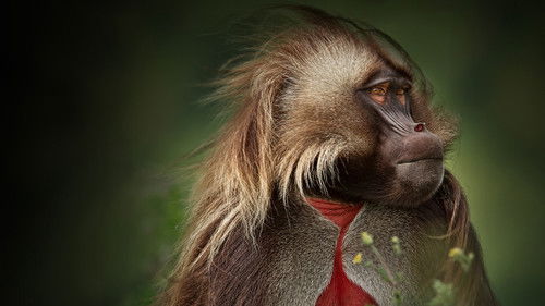 Unbekanntes Afrika Bild 4