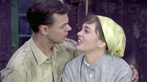 Den rige enke Bild 4