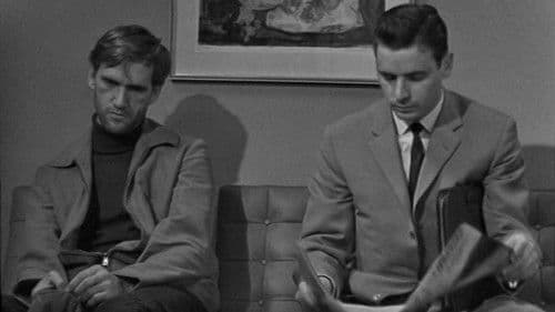 Villa med staket Bild 1