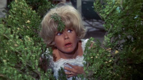 Schick mir keine Blumen Bild 1