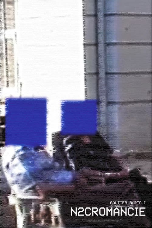 N2CROMANCIE