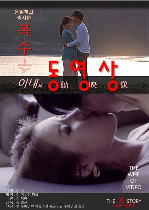 아내의 동영상