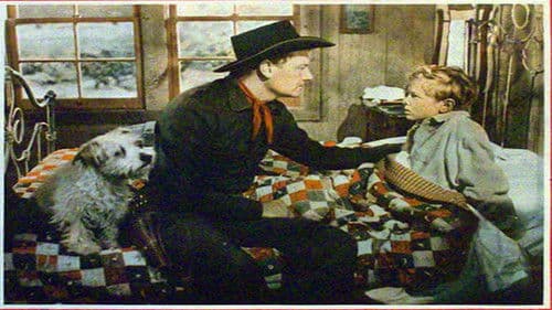 Auf verlorenem Posten Bild 3