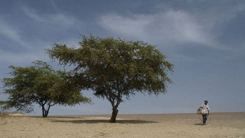 Eine Perle Ewigkeit Bild 6