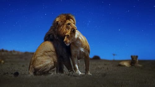 Die Welt in den Farben der Nacht Bild 8